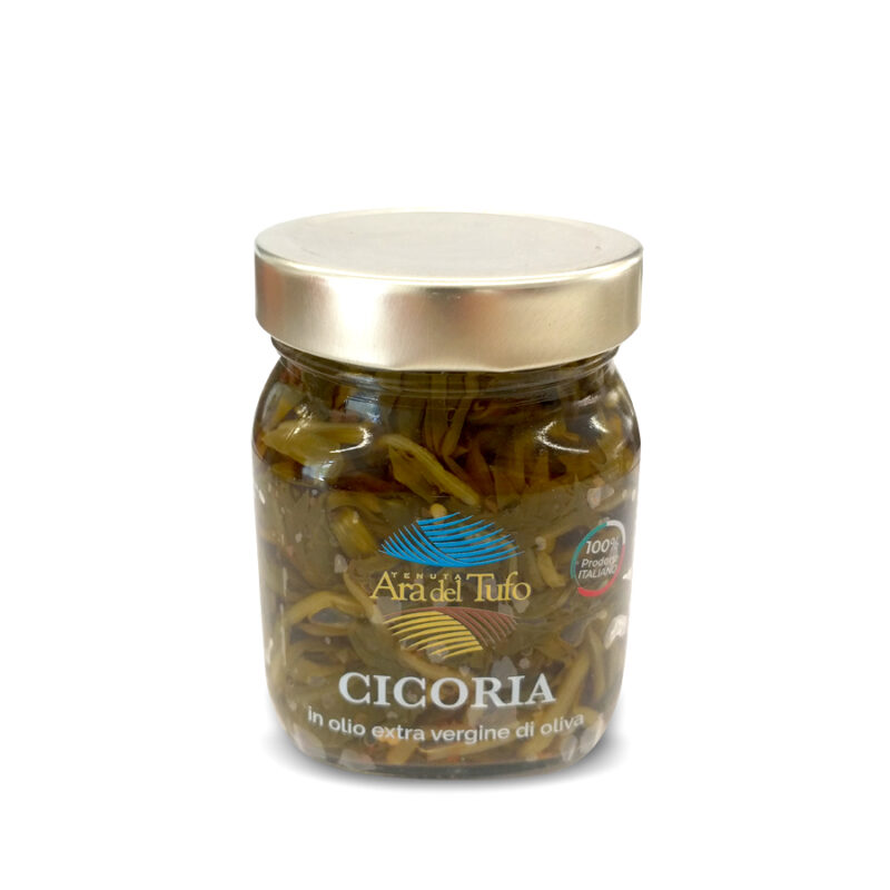 Cicoria